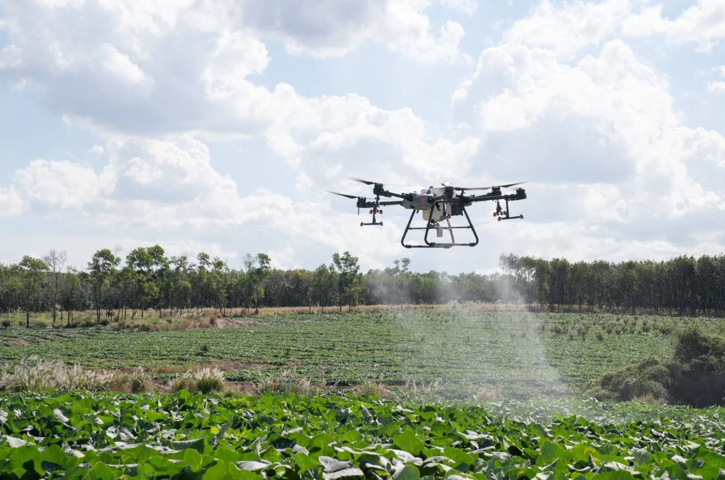 Фото робочого процесу Agro Avia 1