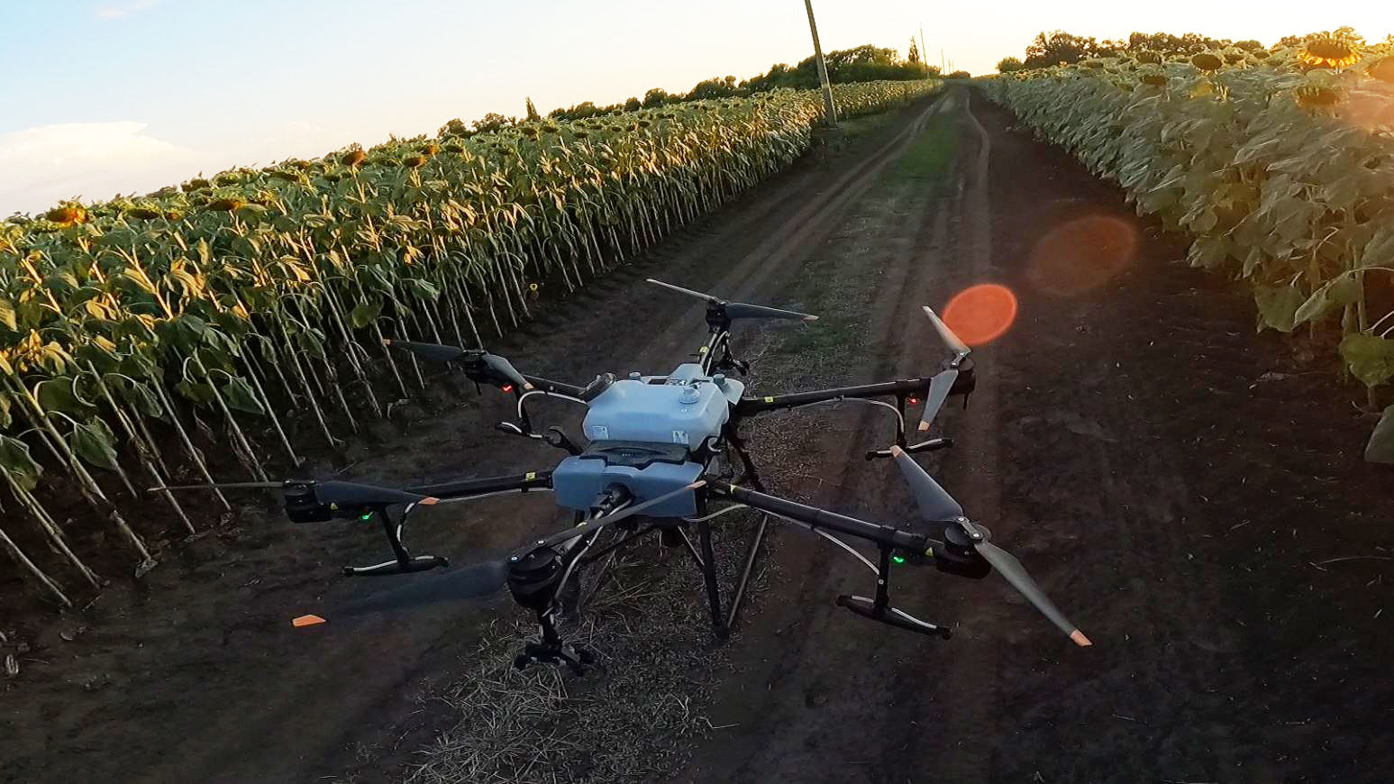 Фото робочого процесу Agro Avia 6